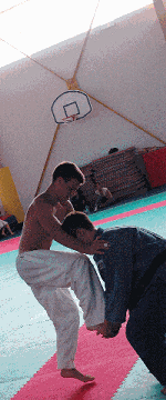 Joost-en-Tom-oleron-judo